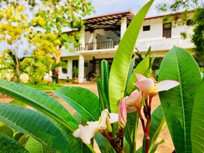 View from property - Saman Resort (Thissamaharama)