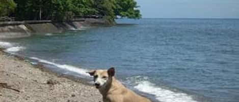 On the beach, scuba diving, snorkeling, kayaking