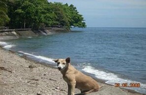 On the beach, scuba diving, snorkelling, kayaking