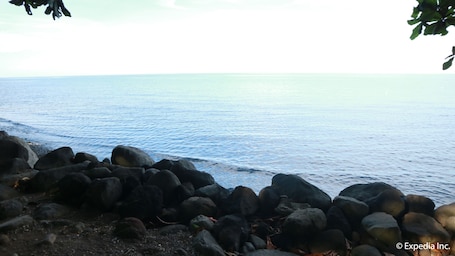 View from property. Algen's Dive Resort
