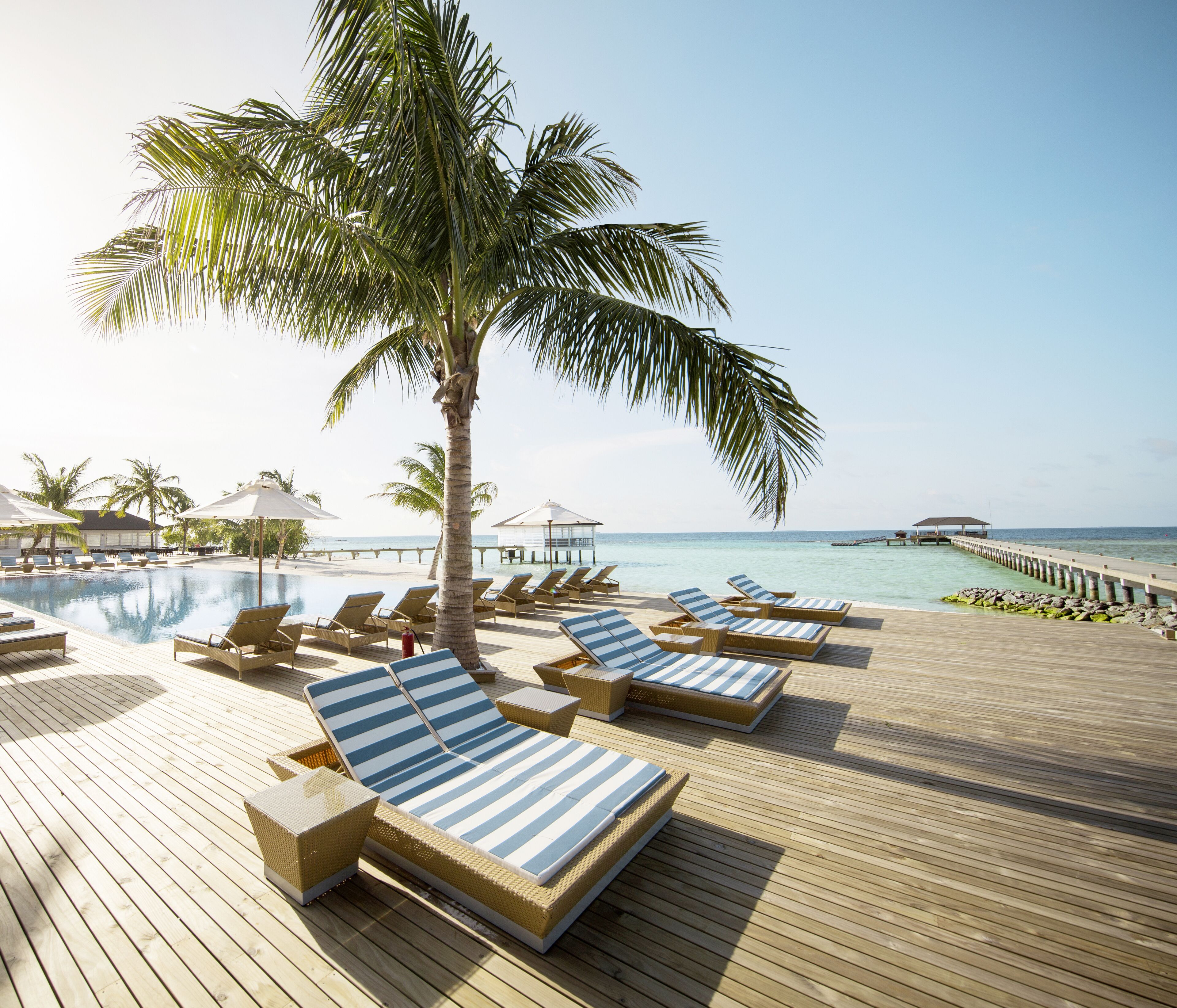 A wooden deck with lounge chairs and a pool, palm trees, and a pier extending into the sea.