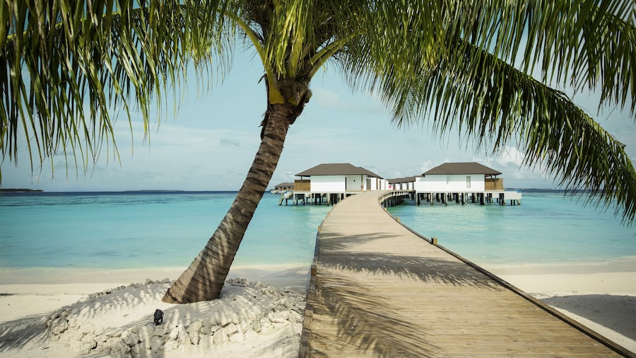 ROBINSON NOONU - All inclusive