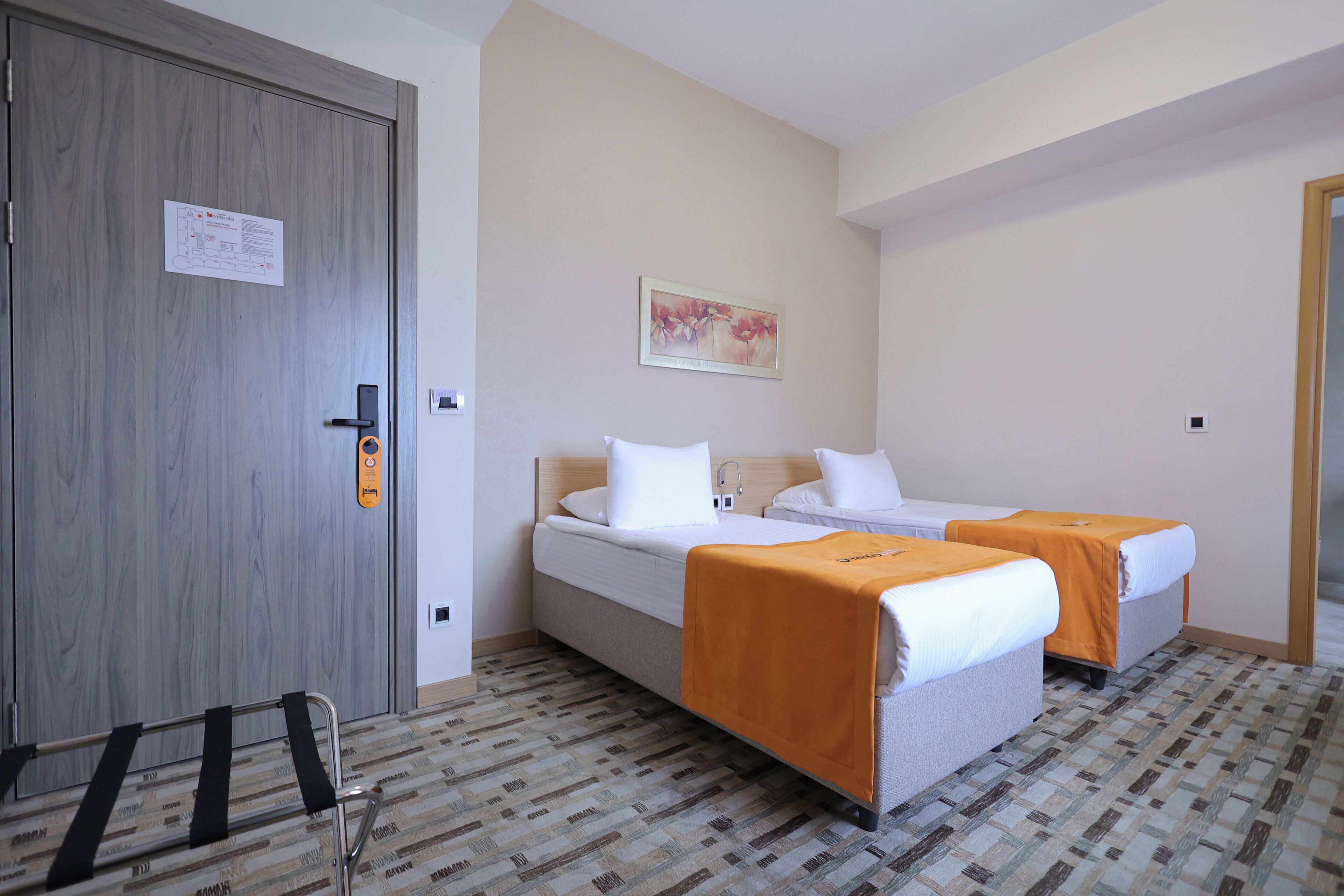 Een hotelkamer met twee bedden, een houten deur, een klein schilderij en een kamerbreed tapijt met een patroon.