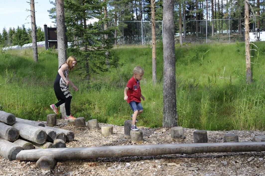 Two people navigating a natural obstacle course with logs and wooden posts.
