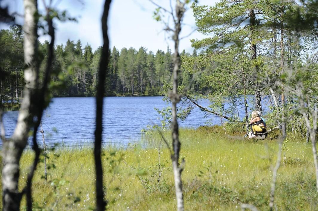 A person sitting on a chair near a lake, surrounded by trees and grass.