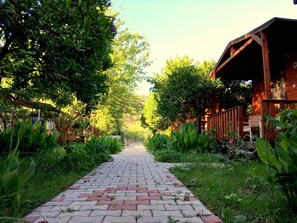 Khuôn viên nơi lưu trú