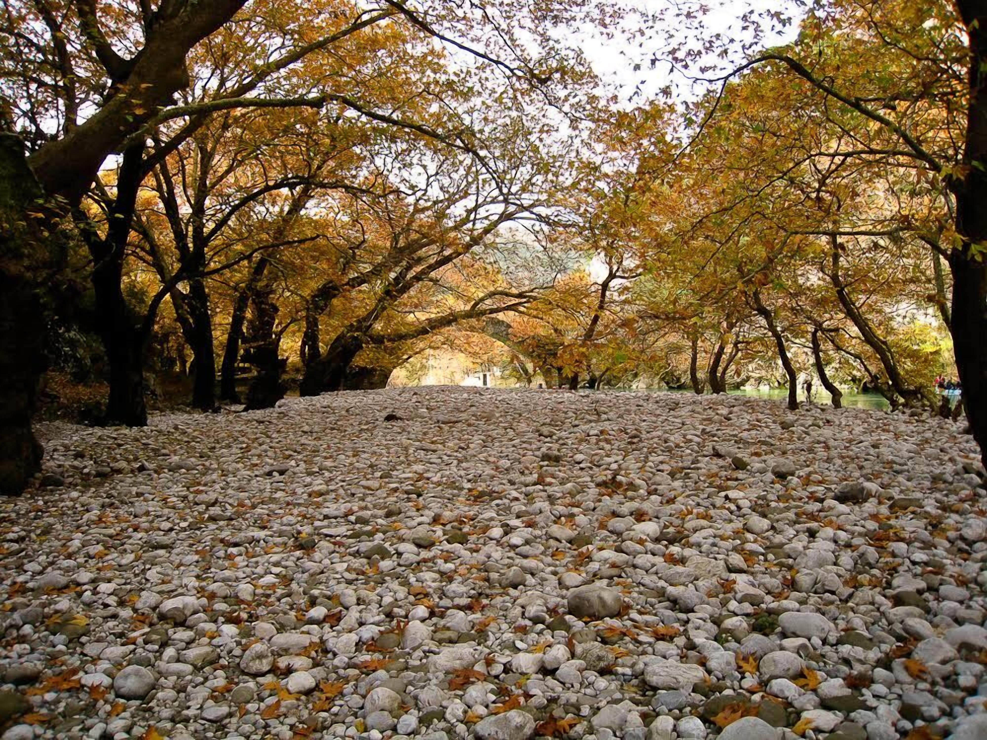 A pathway covered with pebbles and surrounded by trees with autumn leaves.