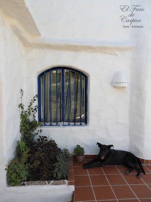 Entrada (vista interna)