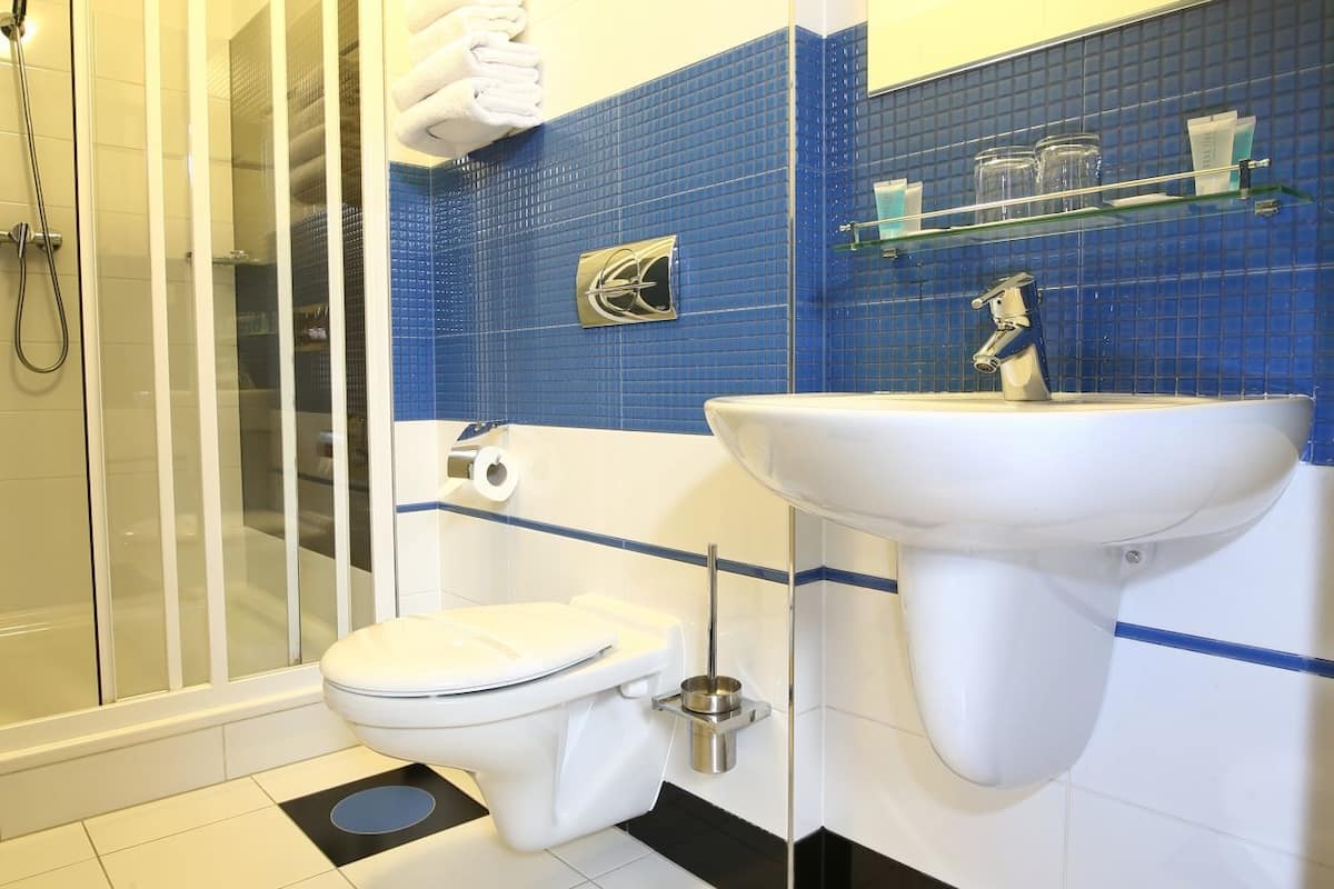 shower, free toiletries, hair dryer, bidet