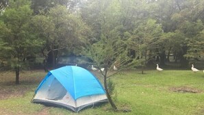 Une tente bleue est installée dans une zone herbeuse, avec des arbres et un étang en arrière-plan.