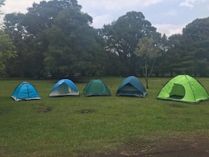 Five tents in a grassy field with trees in the background. - Anaya & Rodriguez Shop - Hostel (Tangancicuaro de Arista)