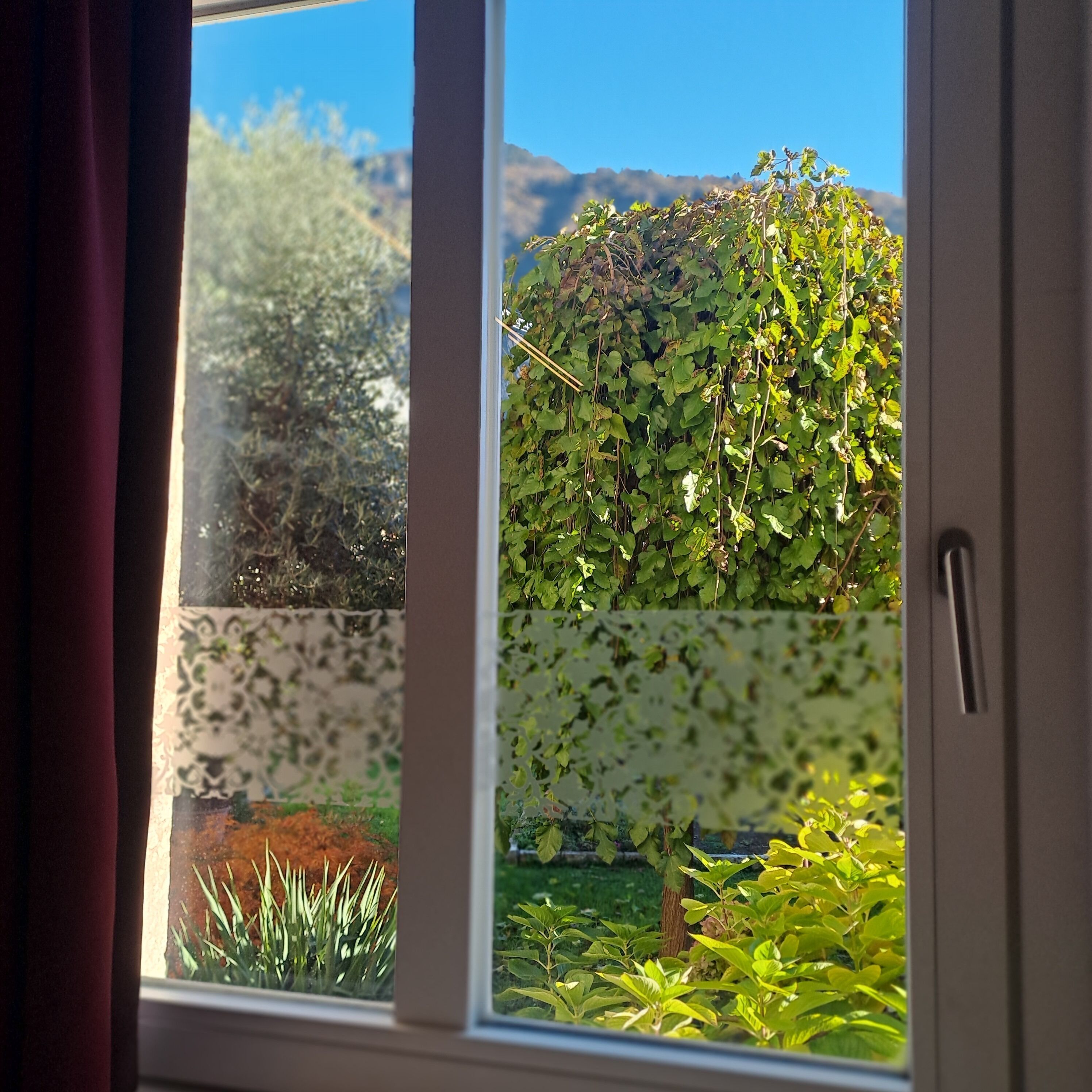 A window with a view of a garden and a mountain in the background.