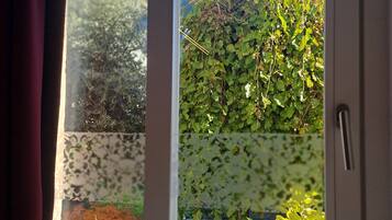 A window with a view of a garden and a mountain in the background.