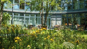 Un edificio moderno con grandes ventanales y un jardín con diversas plantas y flores.