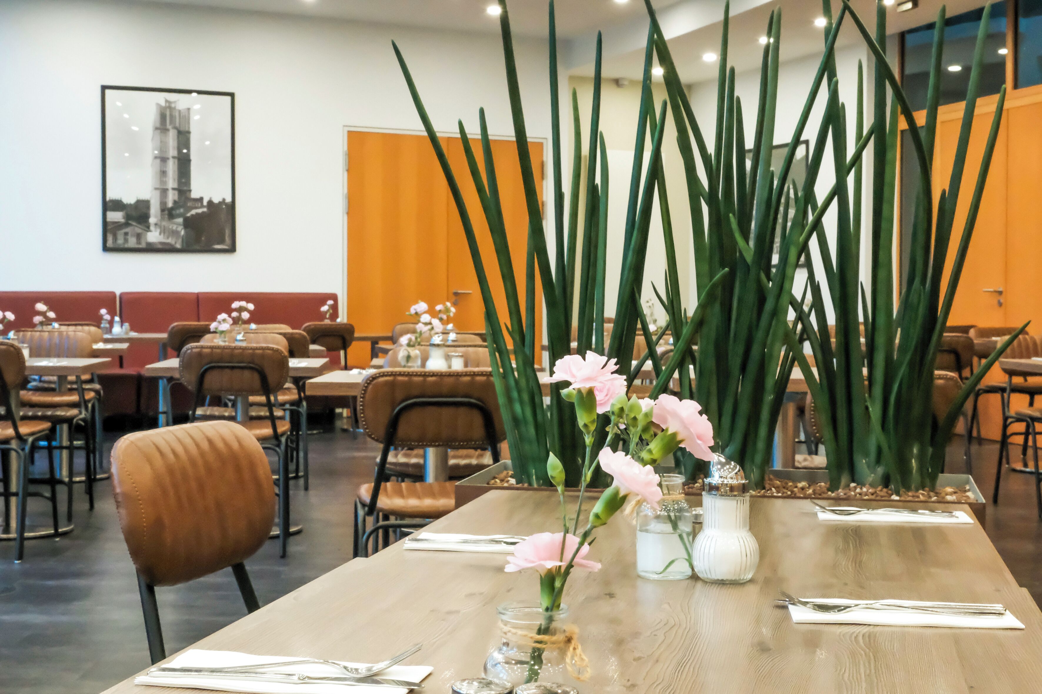 A dining area with long tables, chairs, and a vase with pink flowers.