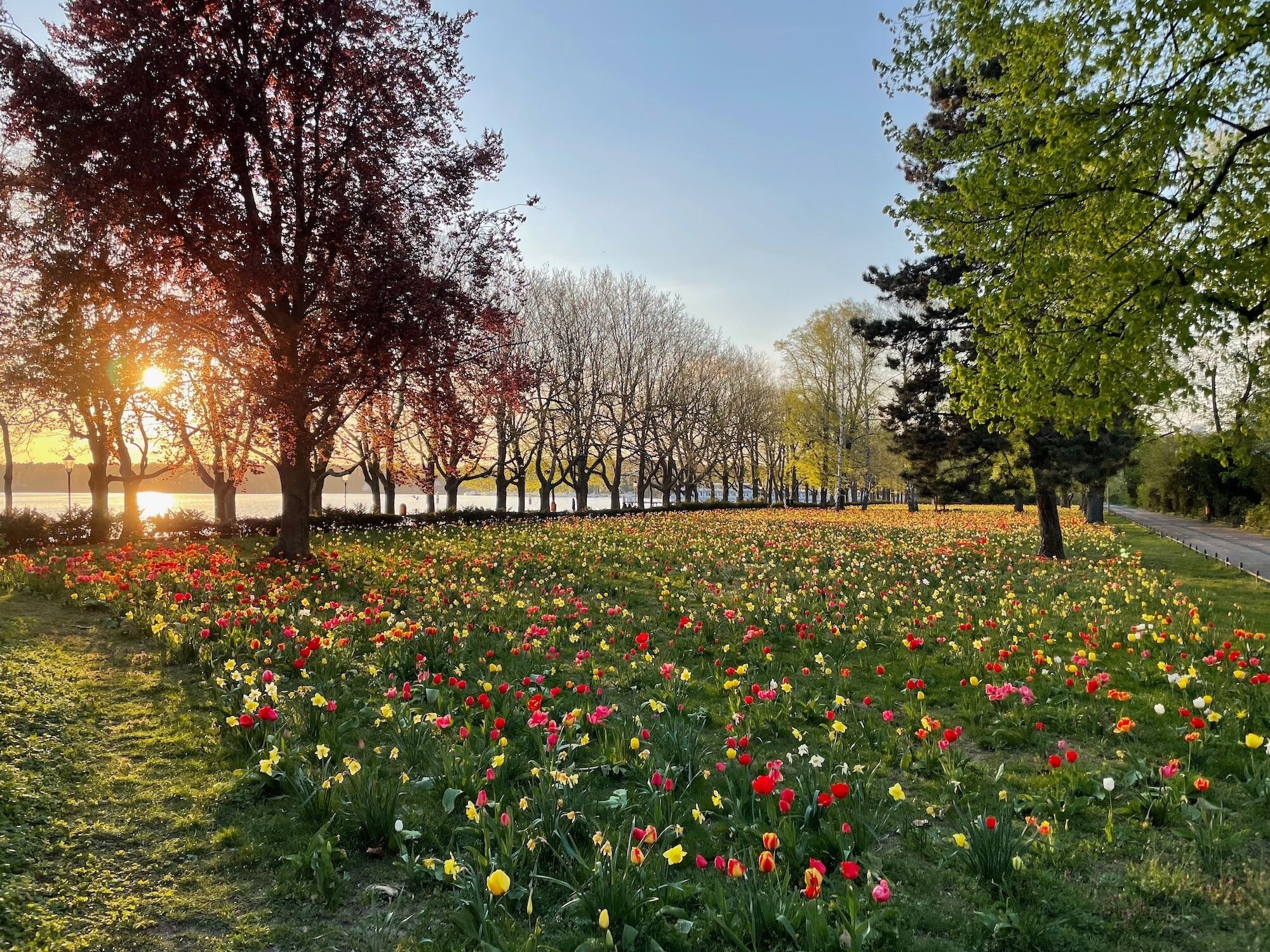 land view from property