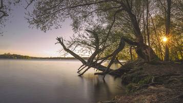 Ein ruhiger See mit einem umgestürzten Baum im Vordergrund und einem Sonnenuntergang im Hintergrund.