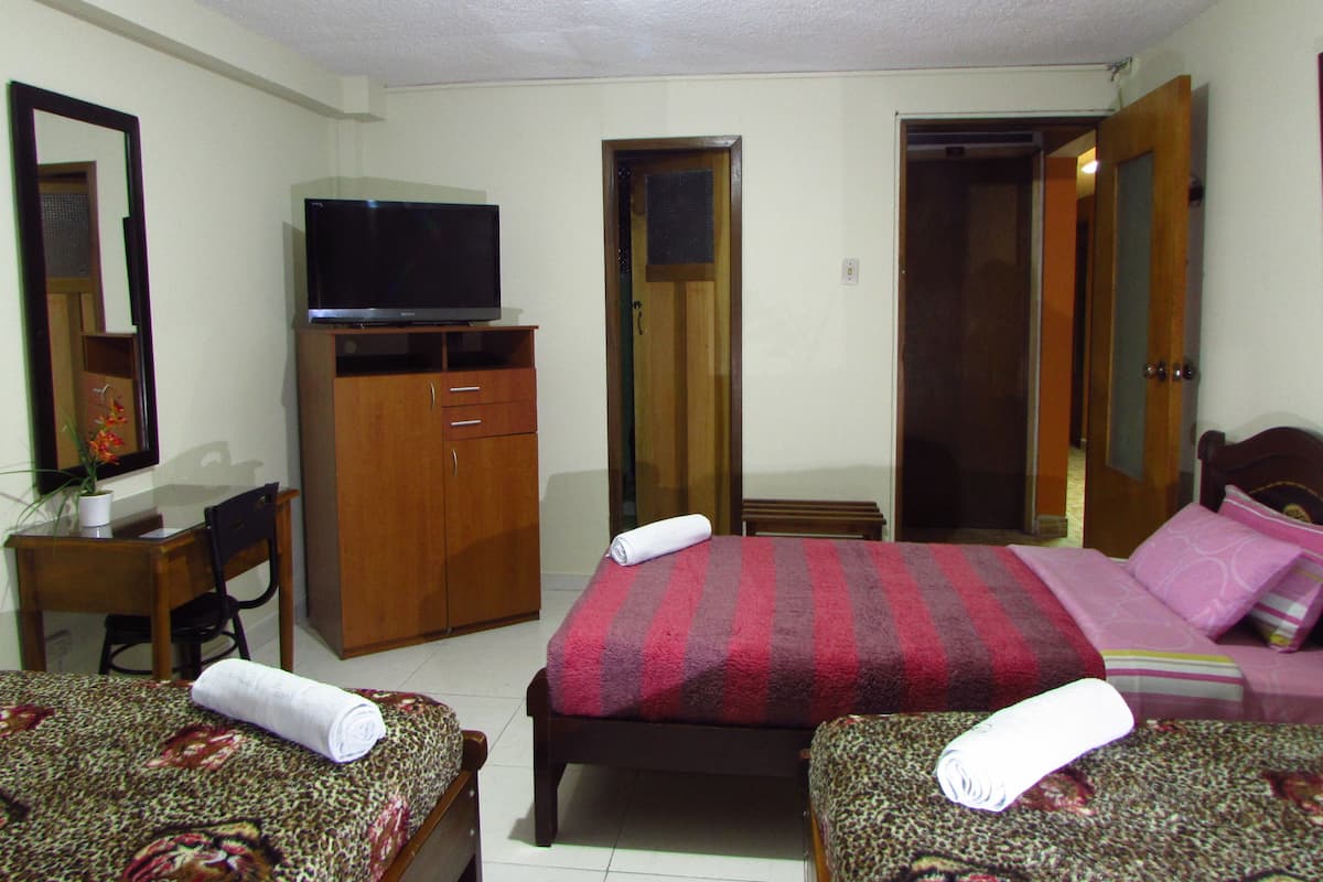 A hotel room with two beds, a TV on a wooden cabinet, a desk with a chair, and a mirror.