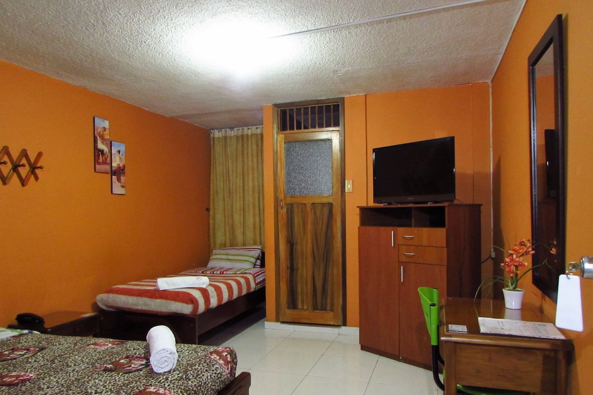A room with a bed, a desk, a television, and a mirror.