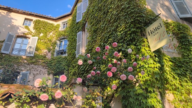 A hotel facade with ivy-covered walls, a sign indicating it is a hotel, and blooming pink roses. - Hôtel Le Quatorze (Figeac)