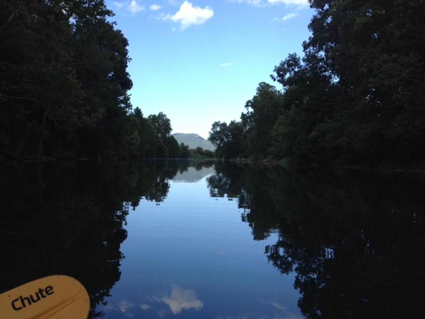 A calm river with dense trees on both sides, reflecting the sky and clouds.