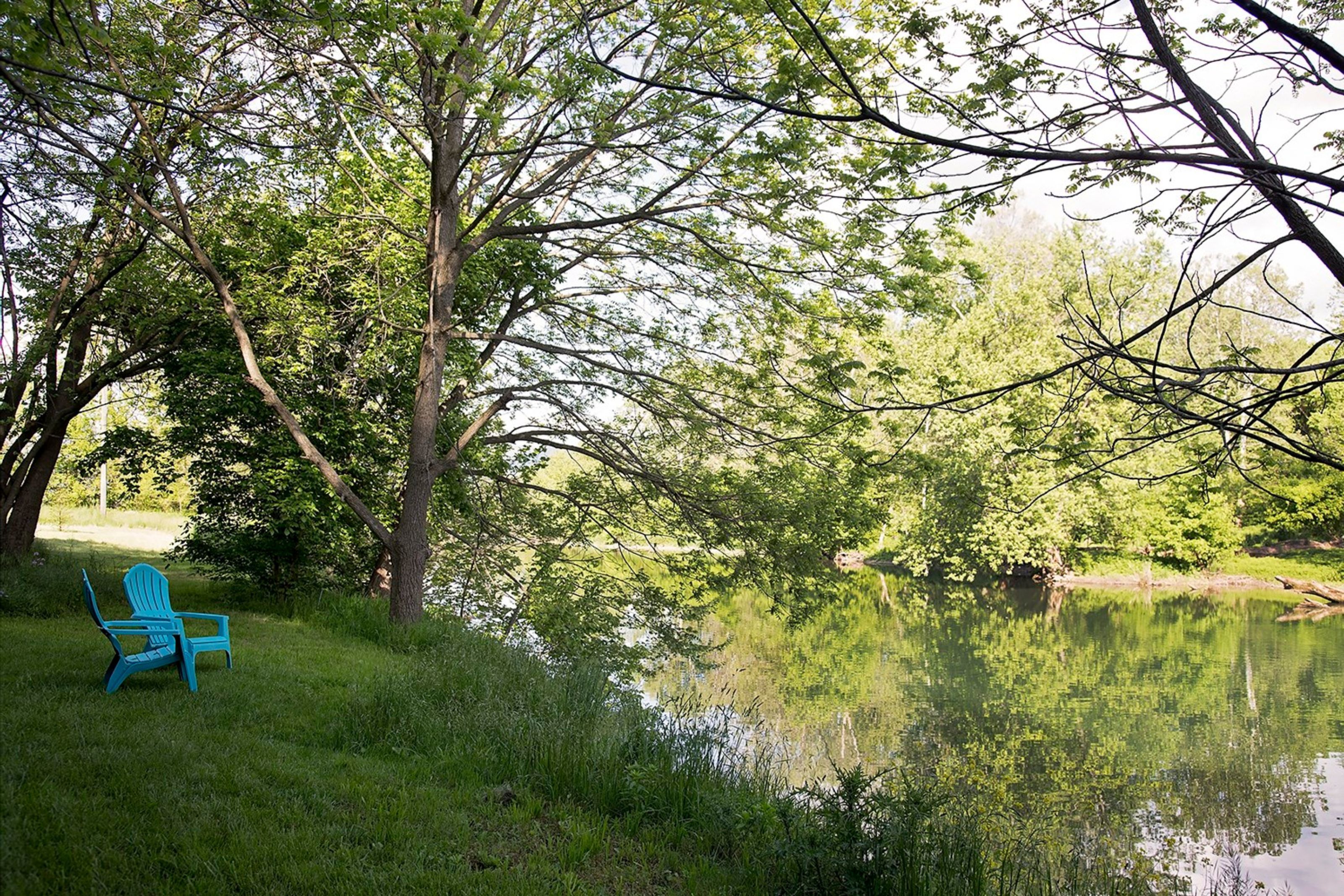 Een rustgevende omgeving aan het meer met een blauwe Adirondack-stoel en weelderige begroeiing.