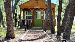 Una rimessa in legno con porta verde, circondata da alberi e un sentiero di legno.