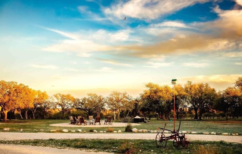 A park with benches, a bicycle, and trees.