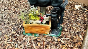 Un'ambientazione rustica all'aperto con una recinzione in legno, una scultura di cavallo nero, un vaso con fiori e un oggetto in metallo nero simile a un secchio.