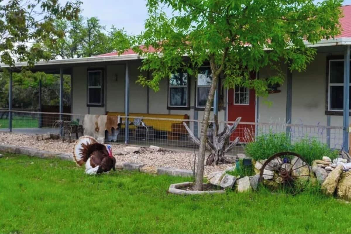 A building with a red door, a fenced area with a tree, and a dog.