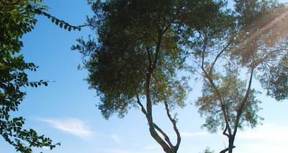 Albergo Masseria Gattamora