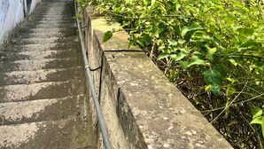 A narrow stone staircase leading to a balcony with potted plants and a view of a building with large windows and a door. - Albergo Masseria Gattamora (Uggiano la Chiesa)