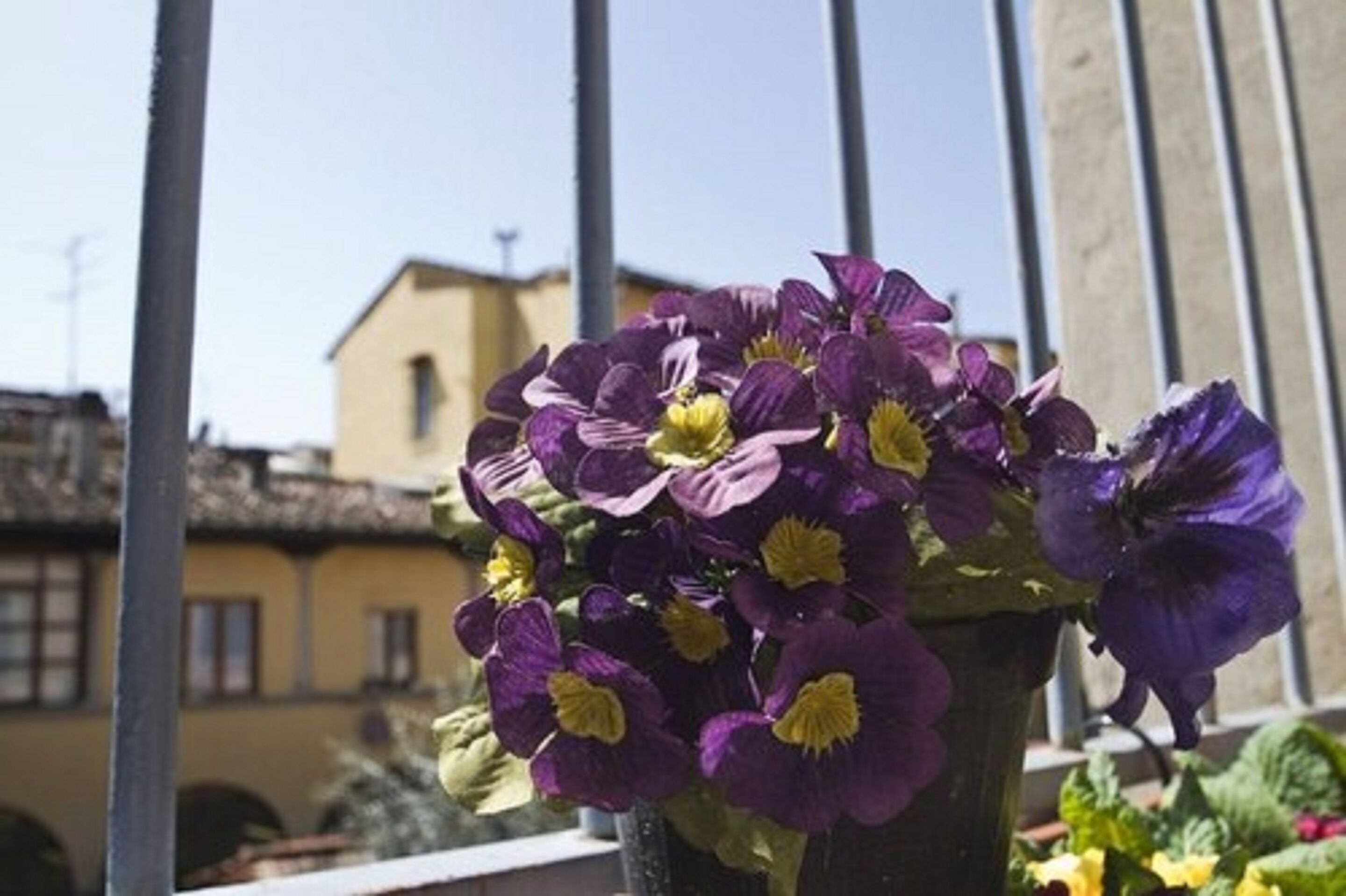 Photo - Hostel Santa Monaca