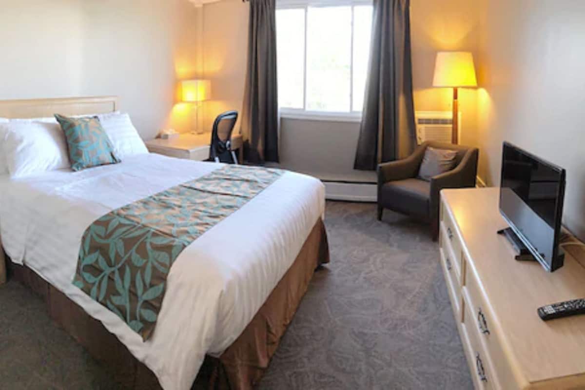 Habitación de hotel con cama, dos sillas, un escritorio con televisor y lámparas.
