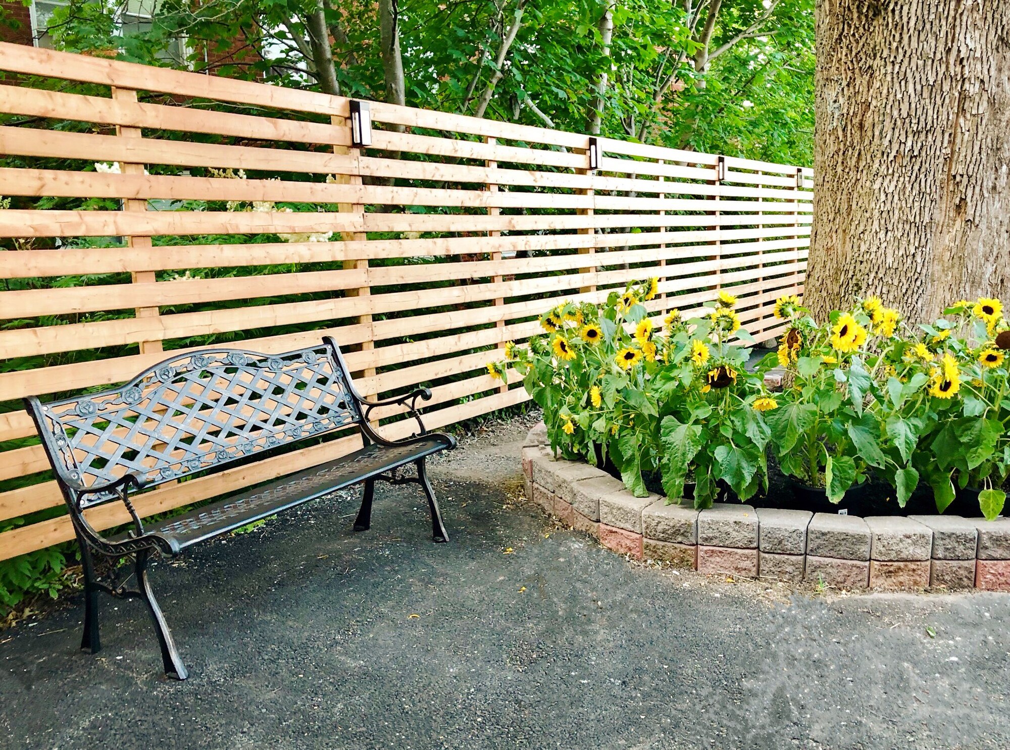 فنادق بتصنيف نجوم (2)