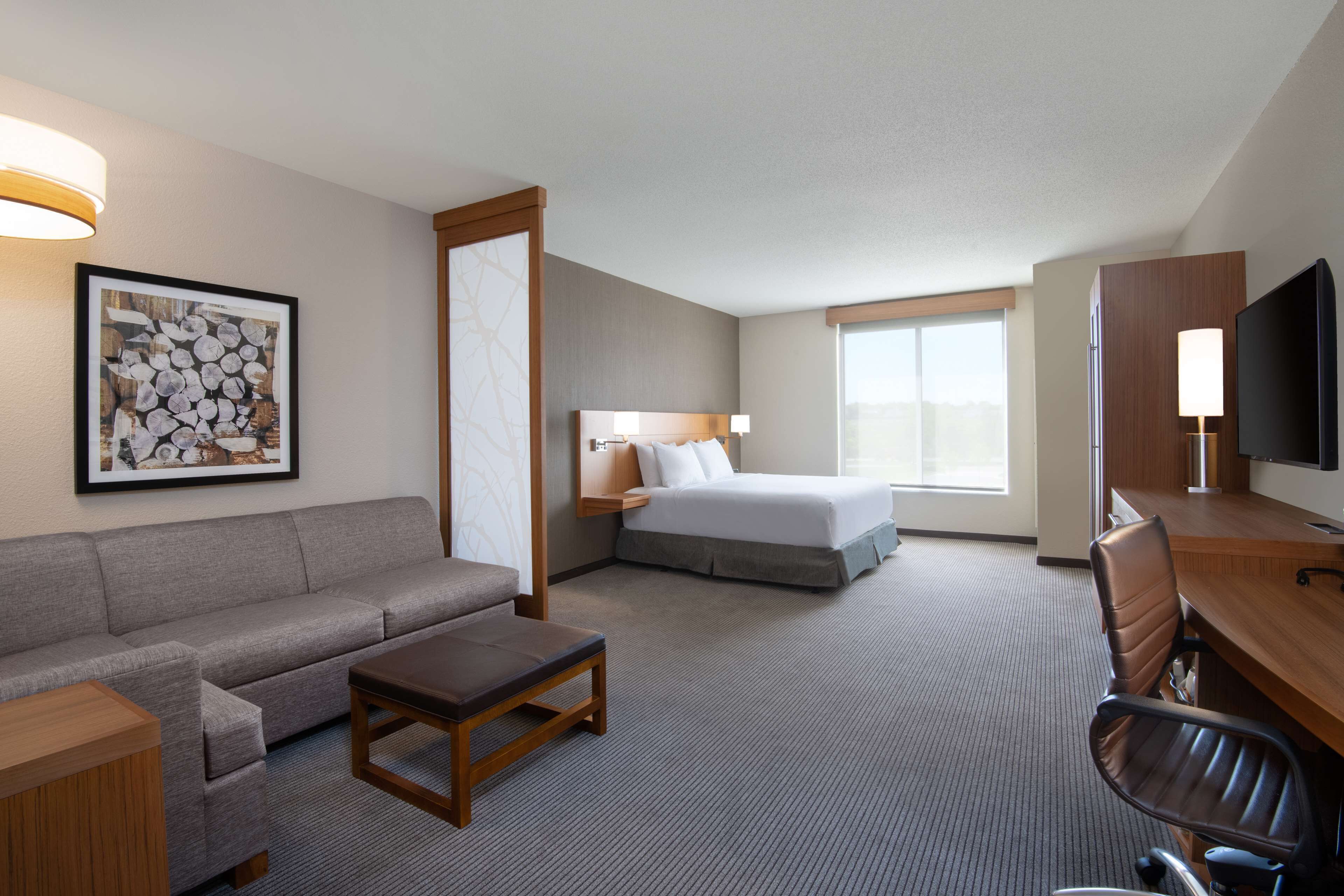 A hotel room with a bed, a sofa, a desk, a chair, a television, and a framed picture on the wall.
