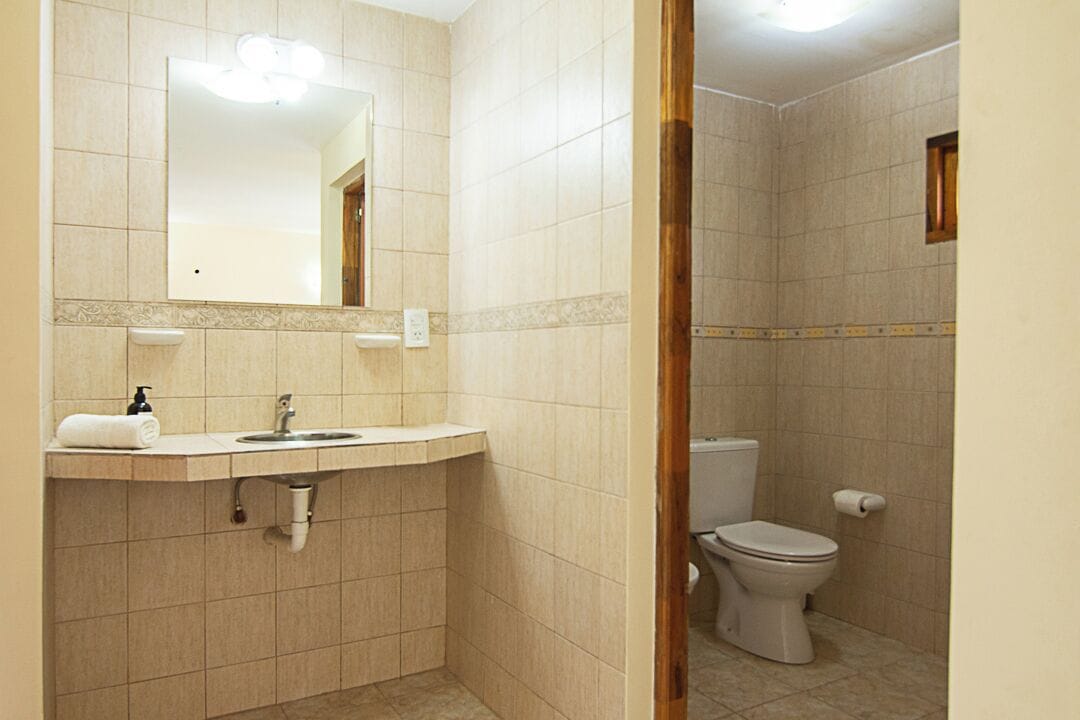 A bathroom with a sink, mirror, and toilet.