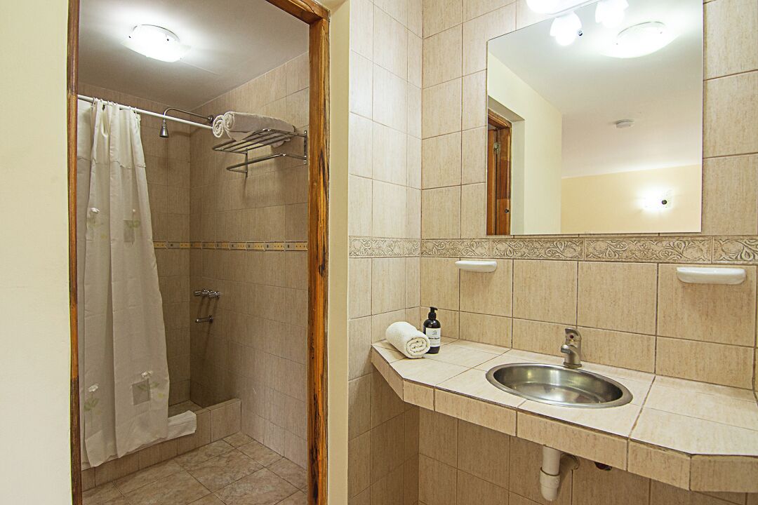A bathroom with a shower, a sink, and a mirror.