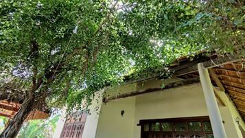 A building with a wooden structure and a tree with hanging lights.