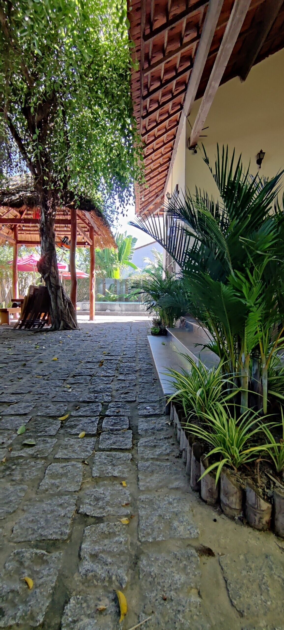 Vista desde la propiedad