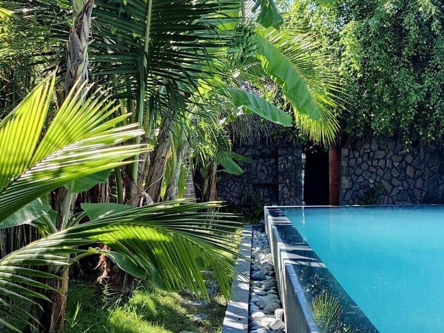 A pool area with a stone wall and lush greenery.