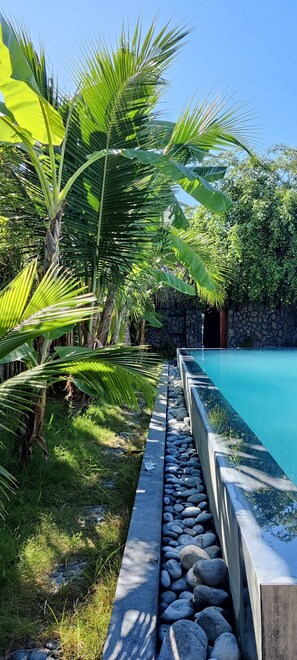 Zona de piscina con pared de piedra y abundante vegetación.