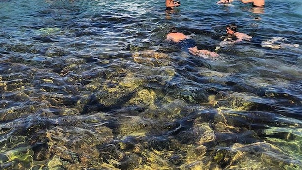 A natural swimming area with clear water, rocky formations, and waves crashing against the shore. - Coogee Beach House - Hostel (Coogee)
