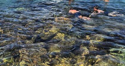 Coogee Beach House - Hostel