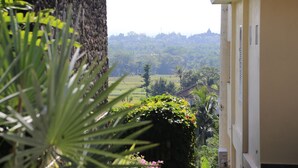 Una vista de un paisaje verde exuberante con un edificio en primer plano.