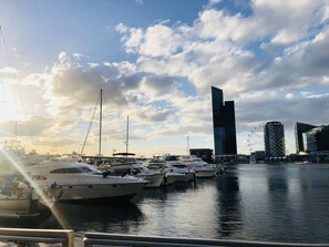 Dock