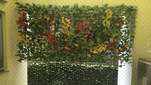 Una pared cubierta de plantas trepadoras y con una fuente de agua.