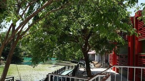 A staircase leading to a covered area with a view of a pond and trees. - Highland Lodge Hotel (Yangon)