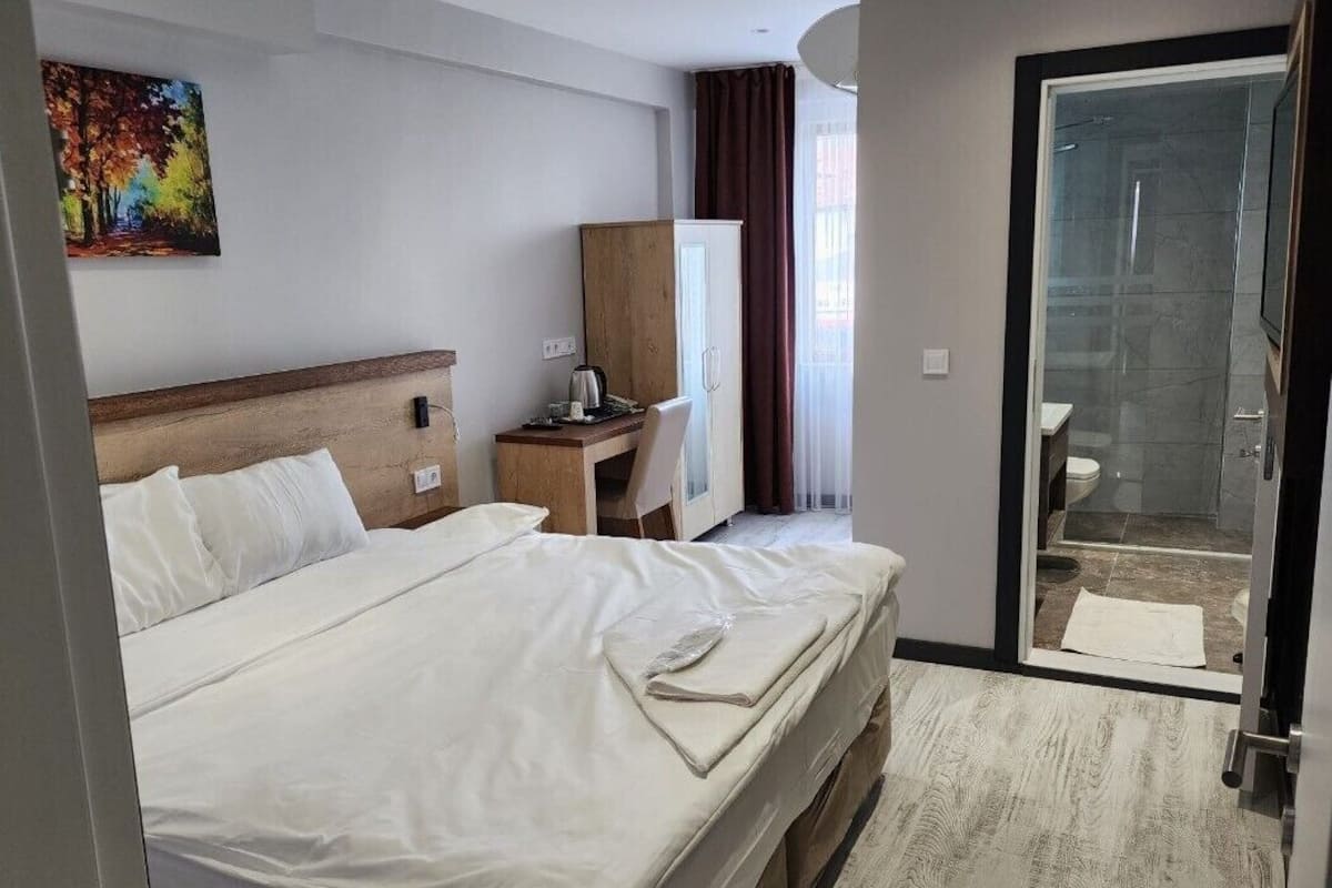 Habitación de hotel con cama, escritorio, armario y zona de ducha.