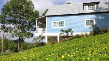 House Number One | Skrivbord, gratis wi-fi och sängkläder